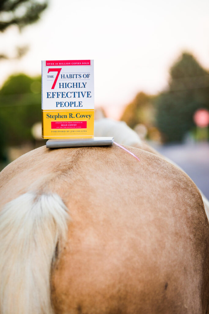 About Bridle Up Hope Pocatello Changing Lives Through Horses and Habits